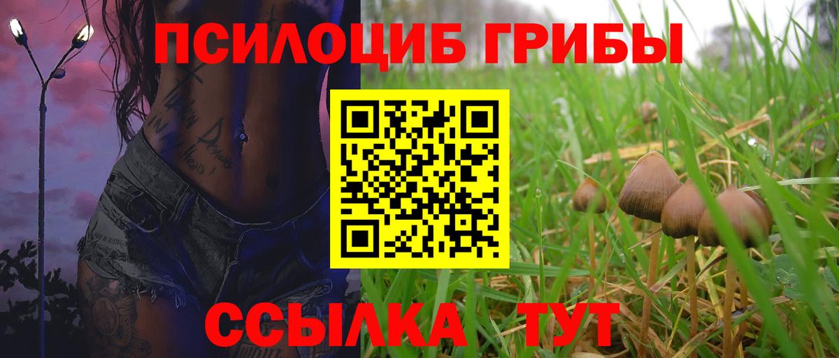 Псилоцибиновые грибы GOLDEN TEACHER Луховицы