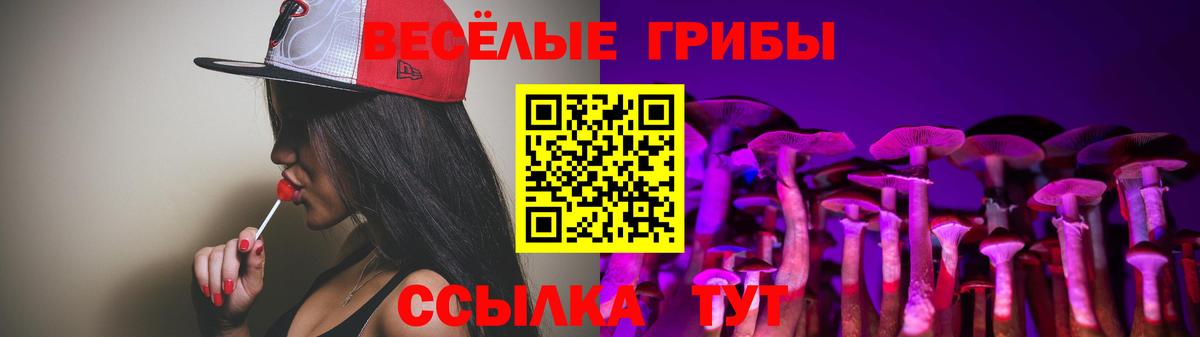 Галлюциногенные грибы мицелий  Вход с VPN  Луховицы 